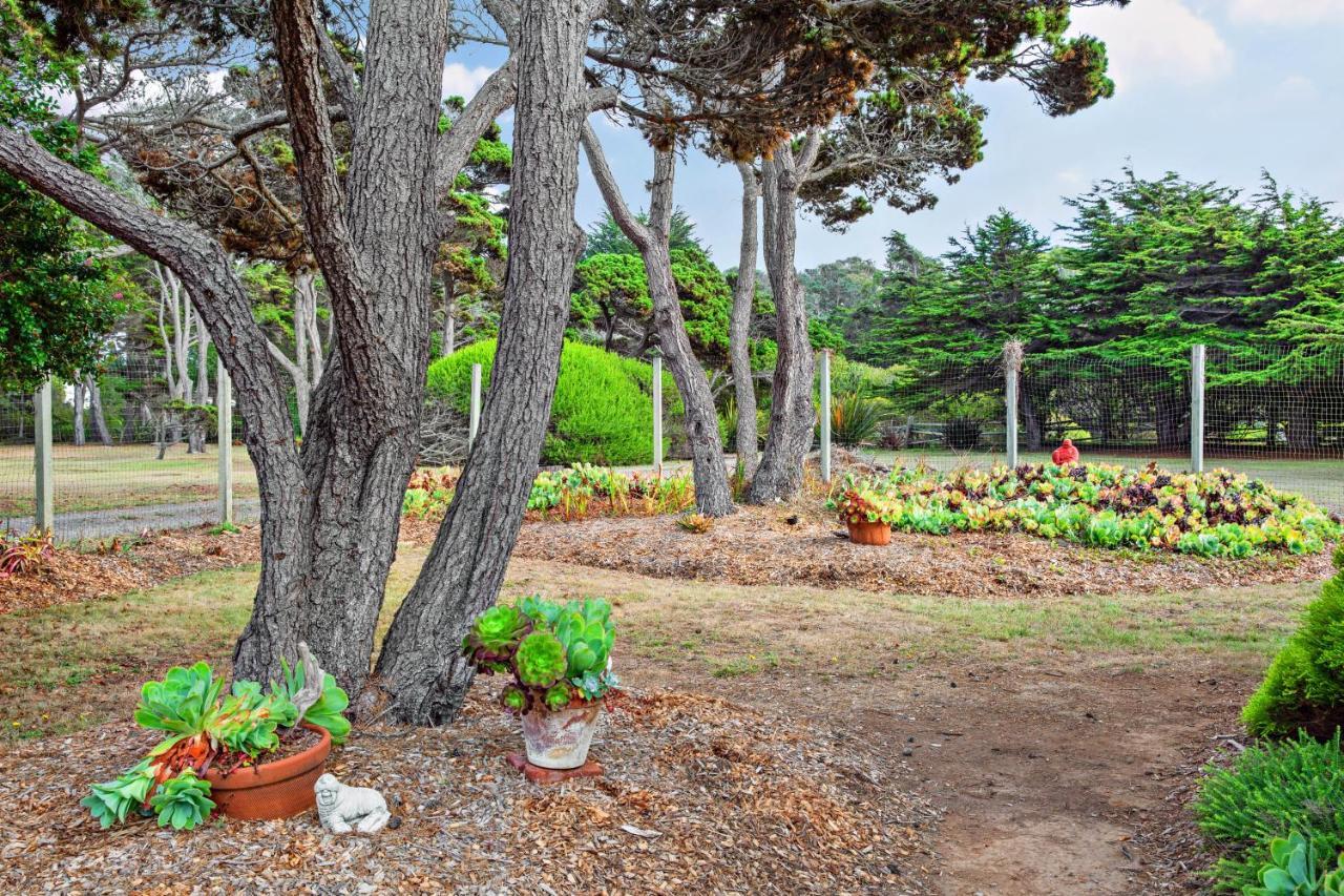 Sunset Point Villa Fort Bragg Ngoại thất bức ảnh